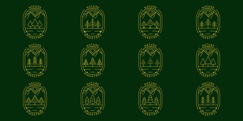 Wall Mural - set of pines tree logo line art simple vector illustration template icon graphic design. bundle coll