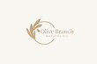Olive oil tree branch logo illustration design