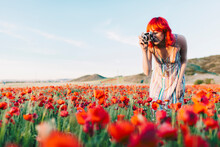 Redhead Woman Photographing Poppy Flowers At Sunset