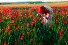 Redheaded Woman Photographing Poppy Flowers Through Camera At Sunset