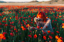 Redheaded Woman Taking Photo Of Poppy Flowers Through Camera At Sunset