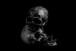 Human skeleton skull head isolated on black