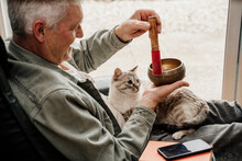 Cat Looking At Man Playing Holding Tibetan Bowl At Home