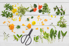Collection Of Various Herbs And Edible Flowers Flat Laid Against White Wooden Surface