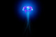 © Westend61 - Three dimensional render of glowing jellyfish
