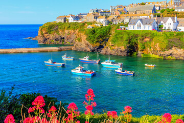 Canvas Print - Port Isaac Cornwall boats and pink flowers England UK with blue sea 