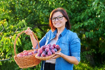 Wall Mural - Middle-aged woman with harvest of ripe plums in basket, looking at camera