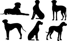 Great Dane Silhouettes Great Dane Dog Clipart