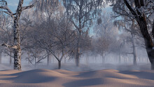 Winter Forest Scene With Beautiful Snow Covered Trees. Seasonal Background.
