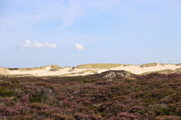 dune landscape in the north of germany