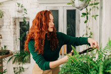 Woman Cutting Leaf Of Fern At Home