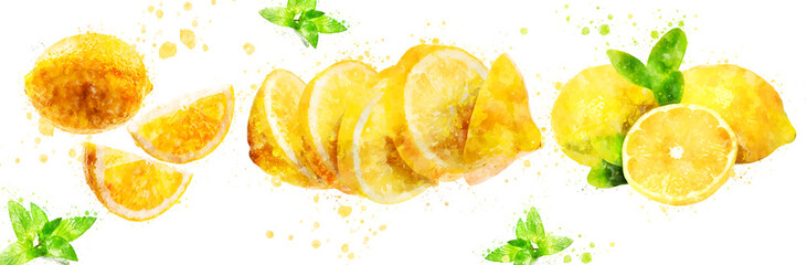 Wall Mural - lemon watercolor hand drawn on white background healthy fruit vector