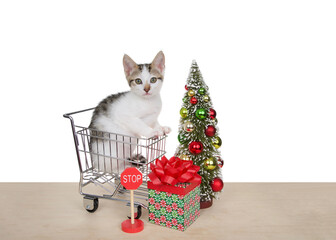 Wall Mural - White and black tabby kitten sitting in small shopping cart with present and trees on light wood floor, small stop sign on floor. Isolated on white.