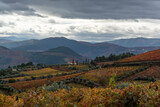Fototapeta Krajobraz - Panoramic view on Douro river valley and colorful hilly stair step terraced vineyards in autumn, wine making industry in Portugal