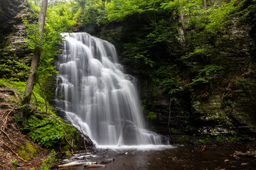 Beautiful Step Waterfall Cascading Over a Lush Green Forest at Bushkill Falls Pennsylvania