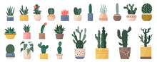 Trendy Set Of Home Cute Cacti Plants In Flowerpots Pack Icons. Collection Of Mini Cacti Succulent Plants And Tall Home Decor Cactus In Pots Modern Illustrations. Flat Cartoon Swiss Trend Graphic Style