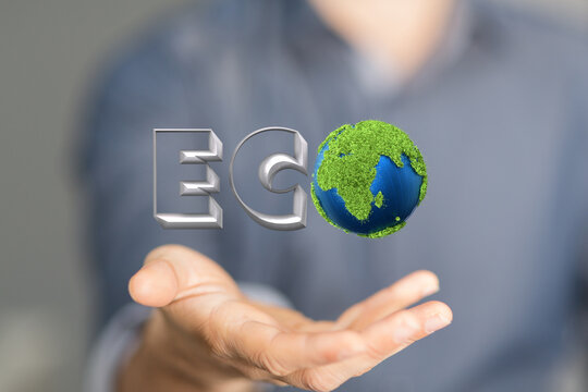 Eco word on the background of green leaves of carrots. plantation