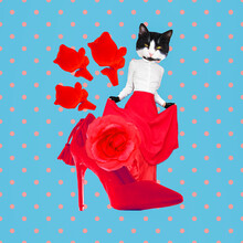 Minimal Contemporary Collage Art.  Passion Kitty Flamenco Dancer. Trendy Retro Style
