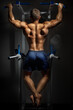 Muscular back of young bodybuilder training in dark background