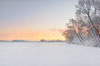 Atmospheric landscape of snow-covered field (forest meadow) at sunrise. Pure golden sunlight. Hills of snow. Winter wonderland. Seasons, ecotourism, christmas vacations, remote places, off-road