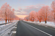 Empty highway (asphalt road) through the snow-covered forest and fields, rural area. Bus stop. Sunrise, snow drifts. Nature, christmas vacations, remote places, winter tires, dangerous driving concept