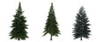 © vadim_fl - Green Pine, christmas tree isolated on white background. Banner design, 3D illustration, cg render