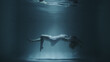 © davstudio - girl in a white dress swims underwater