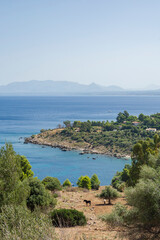 Wall Mural - View of The Zingaro nature reserve, Sicily, Italy