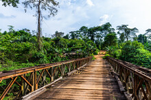 Wooden Bridge Over The River Omo, Located In Omo Forest Reserves In Ogun State Of Nigeria.