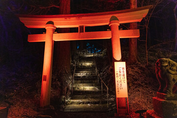 Illuminations of Lake Towada, winter story of light