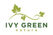 Vine typography with Ivy leaf logo design