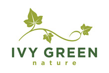 Vine Typography With Ivy Leaf Logo Design