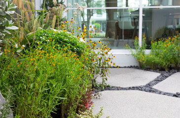 Small gardens with beautiful different green flower and plant in home backyard garden.