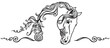 horse head ornament. Mehndi henna tattoo. Black and white outline vector illustration