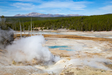 Wall Mural - Norris geyser basin