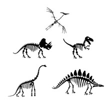 Dinosaur Silhouettes Set. Silhouette Of Dinosaur Skeletons, Dinosaur Bones. Diplodocus, Tyrannosaurus Rex, Triceratops, Centrosaurus, Pterodactyl. Modern Vector Design Image Isolated On White.