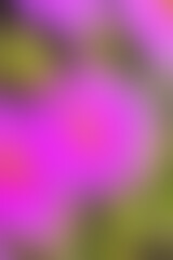 Wall Mural - a blurred color light texture overlay background