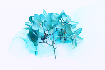 Wall Mural - Creative image of pastel blue Hydrangea flowers on artistic ink background. Top view with copy space