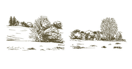 Wall Mural - Rural landskape, forest and meadow. Hand drawn set.