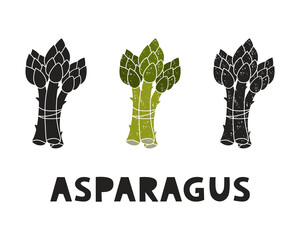 Fototapete - Bunch of asparagus, silhouette icons set with lettering. Imitation of stamp, print with scuffs. Simple black shape and color vector illustration. Hand drawn isolated elements on white background