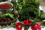 Fototapeta  - świeże organicznie warzywa plony ogród pożywienie