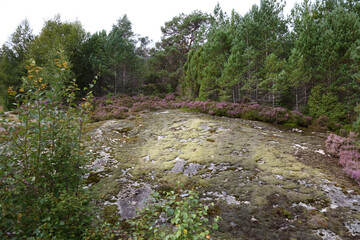 Norwegen - Felsen nahe Nordrevik und Vadheim / Norway - Rock near Nordrevik und Vadheim /