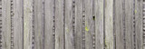 Fototapeta  - Naturalne Tło starej obdartej z farby ściany z drewnianych desek.	