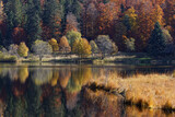 Fototapeta  - étang des Vosges en automne