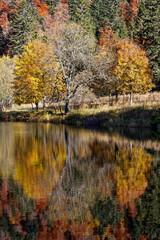 Sticker - étang des Vosges en automne