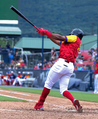 Poster - baseball player 