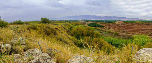 Wall Mural - Hula Valley Panorama from Snir Stream Nature Reserve