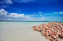Pile Of Empty Conch Shells Near A Bay Front Restaurant, Providenciales, Turks And Caicos