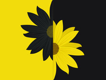 Yellow Flower On Black Background