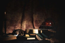 Musical Still Life In The Renaissance Style With Renaissance Guitar And Cat